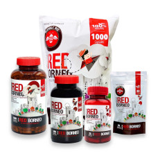 Bumble Bee Kratom Red Borneo Capsules